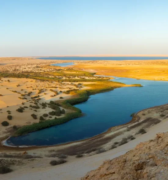 Fayoum Oasis